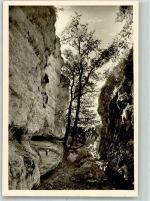 72336 W7460 Balingen Foto AK Schafberg