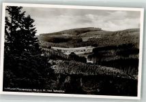 76596 W7564 Herrenwies , Baden Foto AK