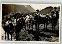 87541 W8973 Hindelang - Abtrieb v.d. Alm Allgäuer Kranzkühe