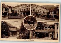 75385 W7264 Bad Teinach 1927 - Trinkhalle Kurhaus Wildtier
