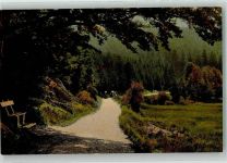 38700 W3389 Braunlage - Promenadenweg an den kleinen Wurmbergtannen