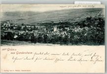 37581 W3353 Bad Gandersheim 1899 Foto AK