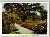 06786 O4414 Wörlitz Foto AK Roseninsel Denkmal Sonnenuhr