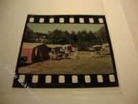 25724 W2221 Neufeld , Dithm KEINE AK Dia