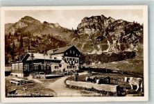 83727 W8162 Neuhaus b Schliersee - Bodenschneidhaus u. Hohenpeissenberg Kühe