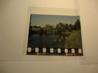 29473 W3139 Metzingen , Niedersachs KEINE AK Dia