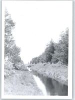 27432 W2740 Spreckens FOTO KEINE AK Fotoabzug, Landschaft