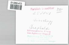 6992 Hirschegg , Kleinwalsertal FOTO KEINE AK Foto