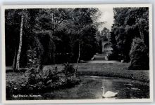 Bad Polzin Polczyn-Zdroj - Kurpark, Schwan