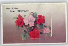 Belfast - Leporello, Blume Rose