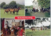 29459 W3132 Clenze - Reiterhof Seelwig