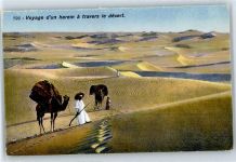 Kameltreiber in der Wüste Arab. Volkstyp