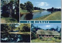 29471 W3136 Gartow , Elbe - Elbholz
