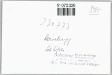 6992 Hirschegg , Kleinwalsertal FOTO KEINE AK Foto, Schlössle