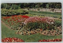 No.12371 , Blumenuhr , Marke entfernt TSN