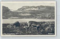 Ulvik Gebrauchsspuren Finse Bergensbanen