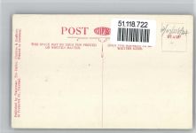 Port of Spain - Annanas Plantage