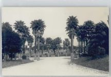 Montevideo - Parkpartie