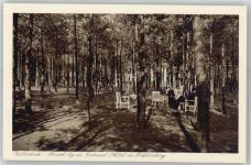 6861 Oosterbeek - Bosch, Hotel Bilderberg