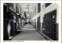 56370 W5429 Biebrich - Sektkellerei Henkell