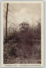 38690 W3387 Vienenburg - Aussichtsturm auf dem Harlyberg