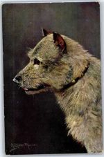 Hund Müller, A. (München)