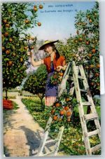Cote D`Azur Lithographie La Cueillette des Oranges