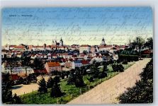 Zatec Saaz
