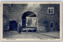 38100 W3300 Riddagshausen - Altes Tor, Schäfer mit Schafherde