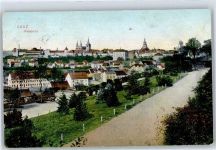 Zatec Saaz