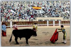 Barcelona - Stierkampf, Stier, Torero, Arena