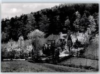 76316 W7502 Waldprechtsweier - Gasthaus Standke