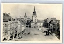 Zatec Saaz