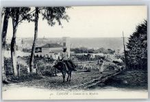 Tanger Tangiers - Esel, Camma de la Mssal-la
