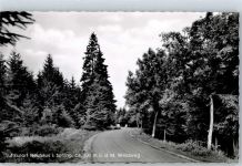 37603 W3450 Neuhaus im Solling - Waldweg