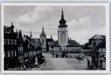 Zatec Saaz