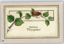 Maikäfer Prägedruck