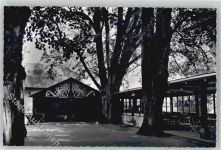 35619 W6333 Braunfels - Trinkhalle Karlsprudel