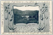 79410 W7847 Hausbaden 1902 Passepartout Hotel Hausbaden Schwalben