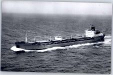 MS Falster Schifffahrt