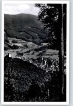 79183 W7808 Waldkirch , Breisgau