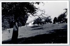 64686 W6147 Knoden - Posthilfsstellenstempel