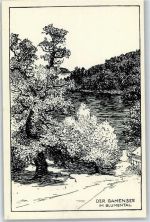 16356 O1311 Tiefensee b Bad Freienwalde Künstlerkarte Der Gamensee im Blumental