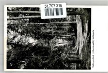 72250 W7290 Untermusbach - Landpoststempel Waldpartie