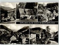 98666 O6121 Lichtenau b Eisfeld - Biberschlag Mühle Tellerhammer Bibergrund