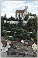 91327 W8556 Gößweinstein Lithographie Burg