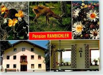 83329 W8221 Aich , Oberbay - Pension Rambichler Aicherhof