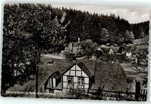 37603 W3450 Fohlenplaken Foto AK