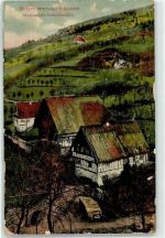 77887 W7595 Sasbachwalden 1910 - Straubenhöfe Schwarzwaldhäuser