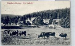 38700 W3389 Braunlage 1912 - Hotel Waldmühle